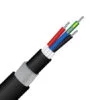 3CE 16.0MM TCW XLPE 0.6/1KV CABLE SWA